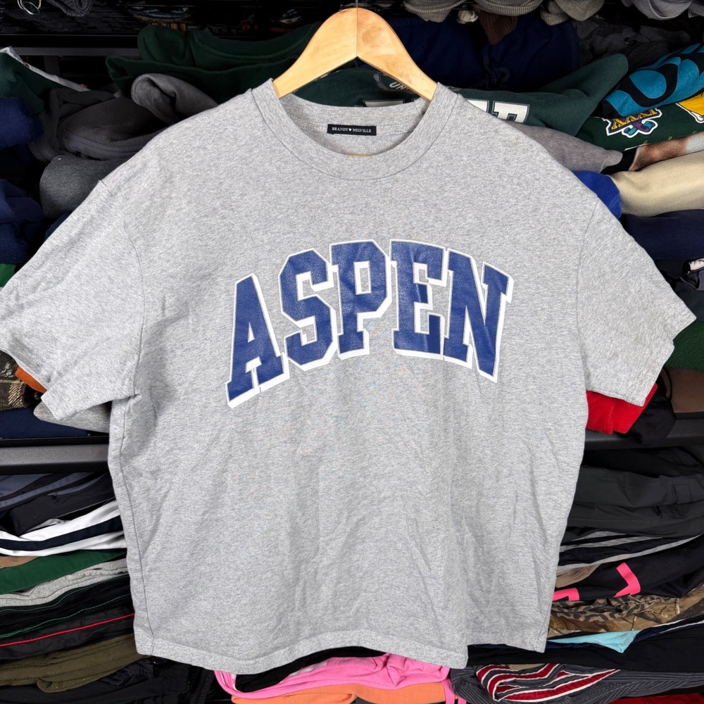 Brandy Melville Aspen Oversized Graphic Tee Heather‎ Gray Blue Varsity One Size